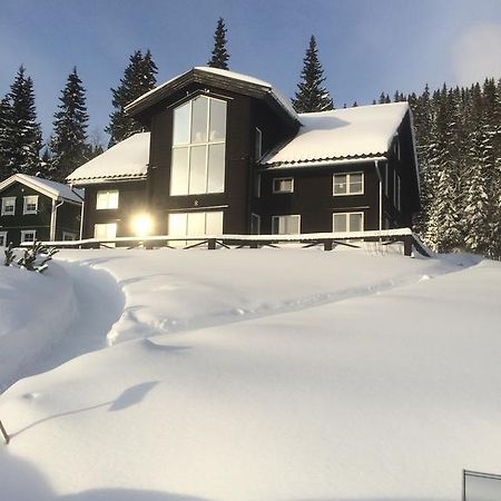 Villa Edvinsvaeg 8 Åre Екстериор снимка