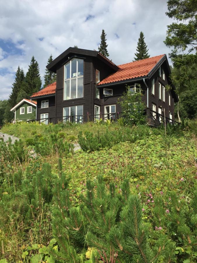 Villa Edvinsvaeg 8 Åre Екстериор снимка