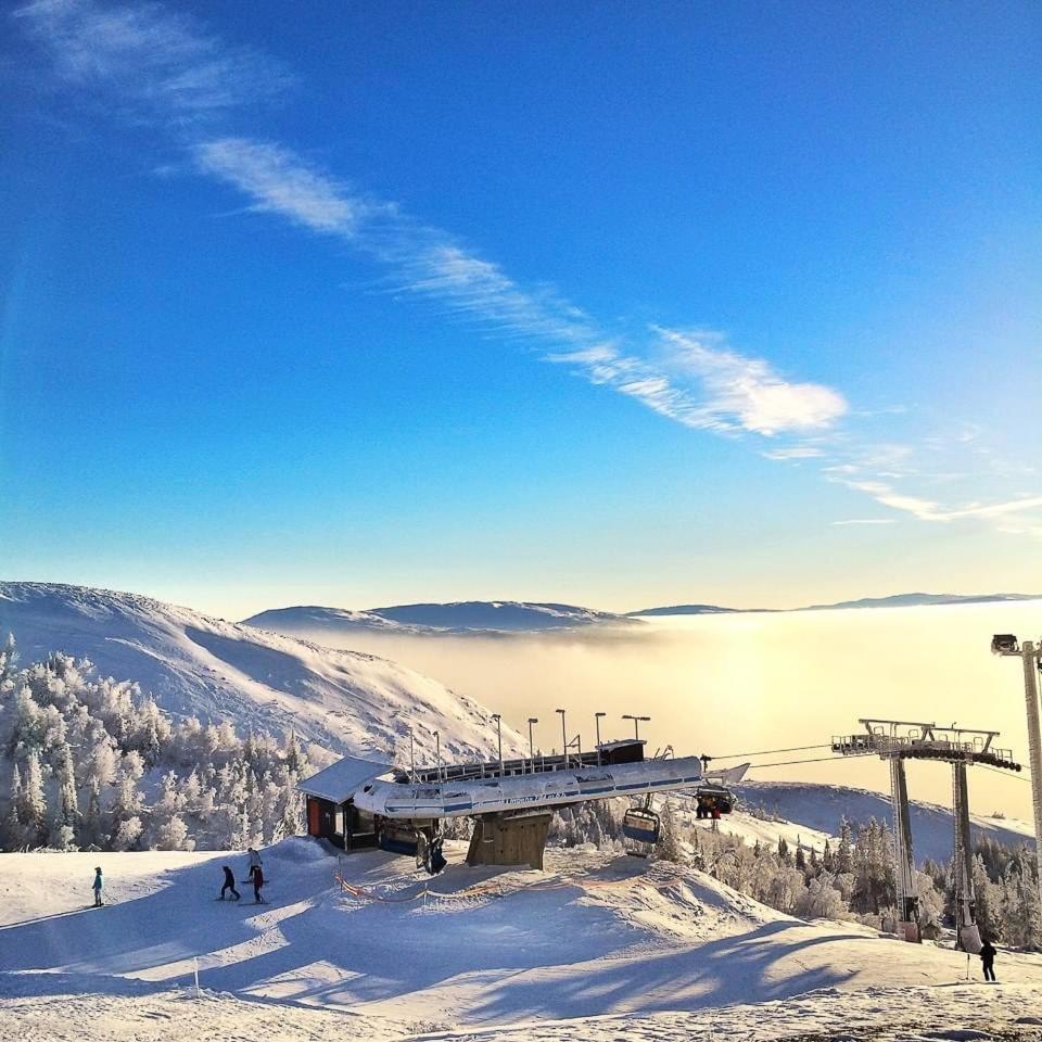Villa Edvinsvaeg 8 Åre Екстериор снимка